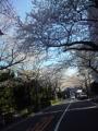 120407_085620.jpg