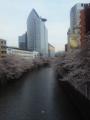 120407_162925.jpg