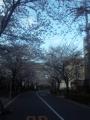 120408_061053.jpg