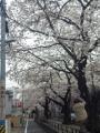 130323_104019.jpg