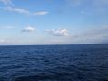 20130317_seadsc.jpg