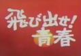 20130518_seisyun.jpg