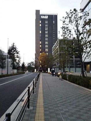 20131126b.jpg