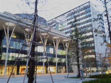 20131126c.jpg