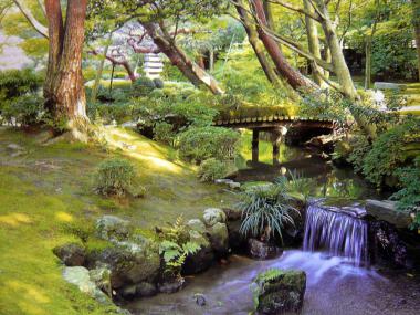 shinshin-an2013-3.jpg