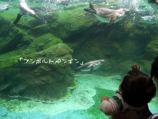 110101blog3.jpg