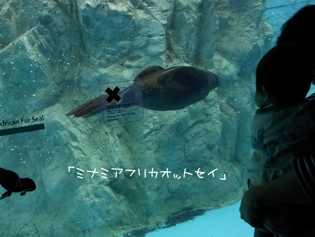 110101blog4.jpg