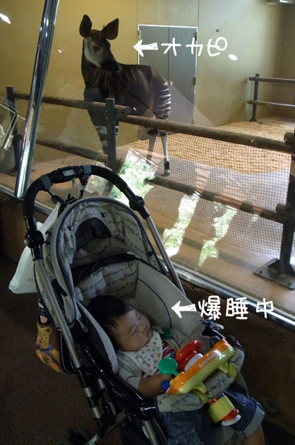 110101blog5.jpg