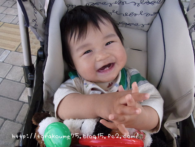 110101blog6.jpg