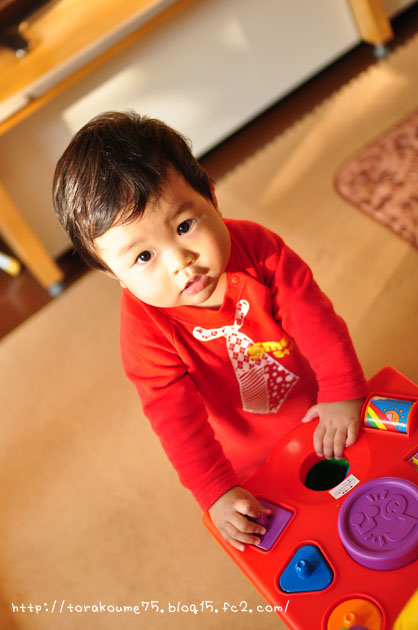 110106blog2.jpg