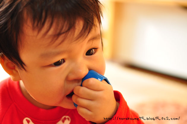 110106blog3.jpg
