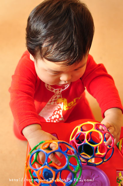 110106blog4.jpg