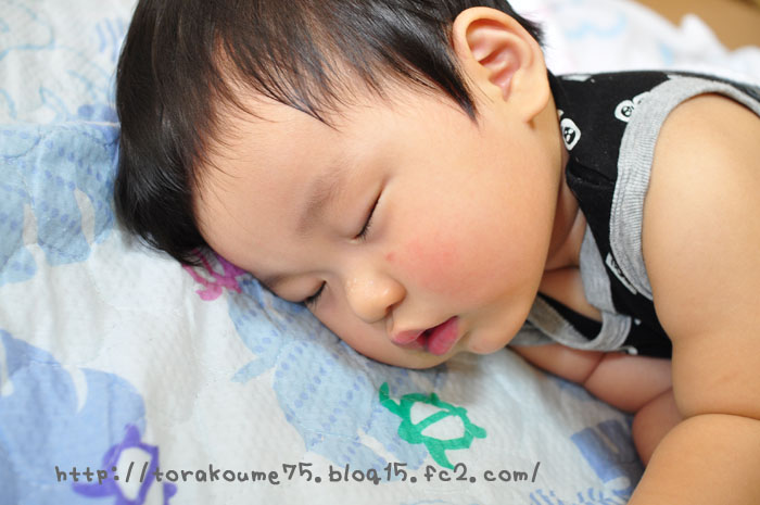 110916blog1.jpg