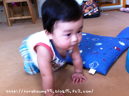 110916blog3.jpg