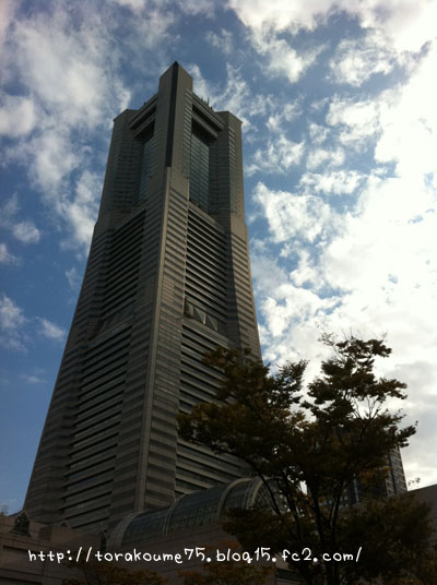 110923blog1.jpg