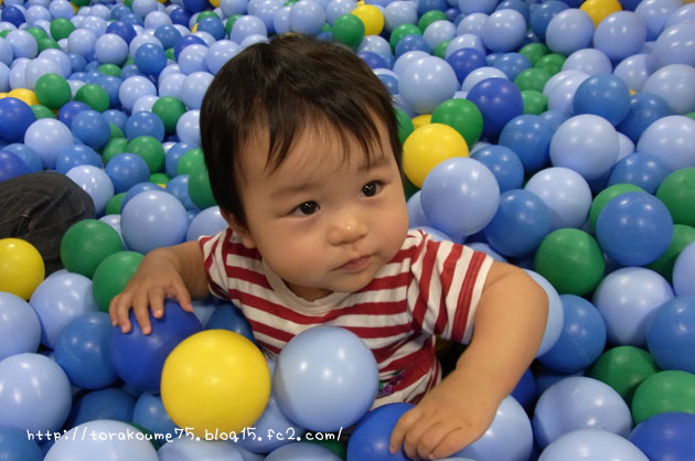 110923blog2.jpg