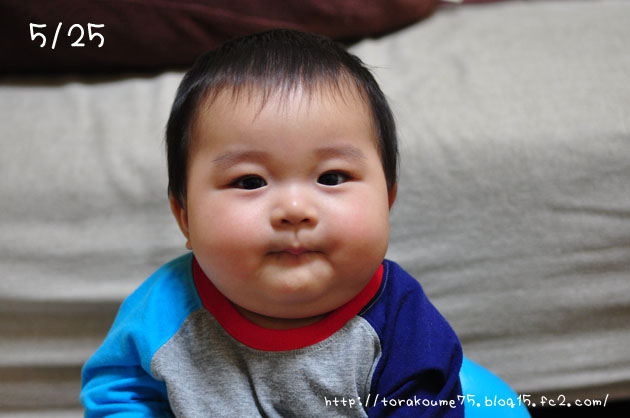 110928blog1.jpg