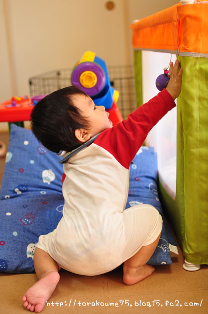 110928blog3.jpg
