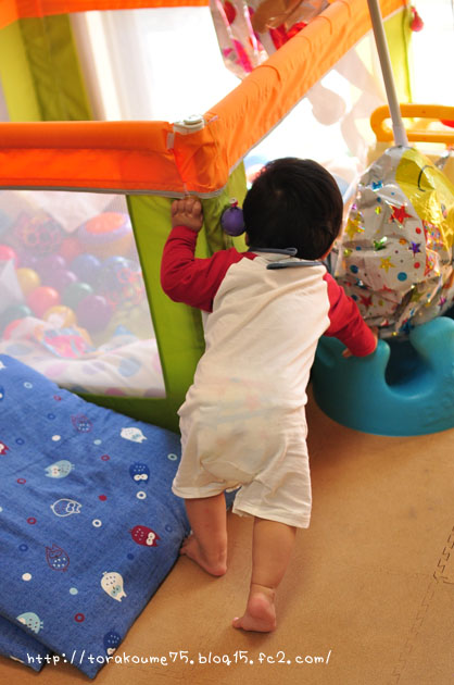 110928blog4.jpg