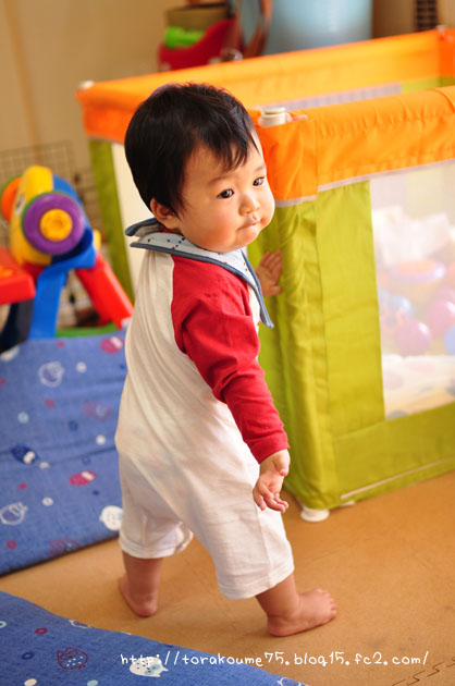110928blog5.jpg