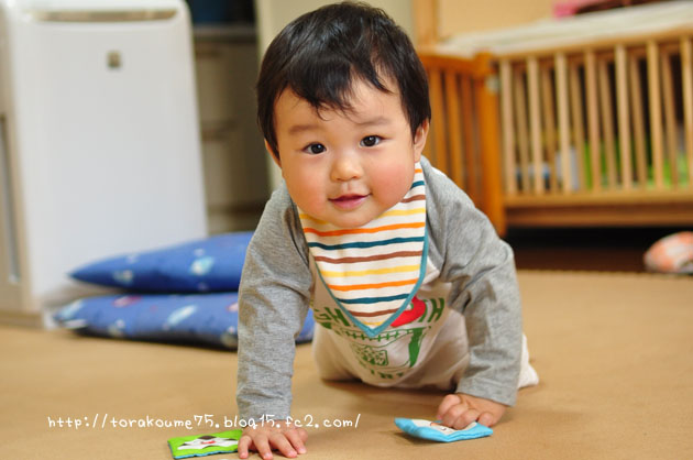 110930blog1.jpg