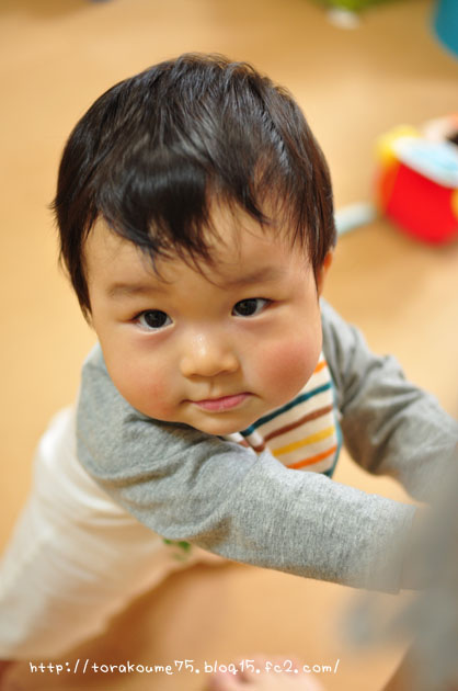 110930blog5.jpg