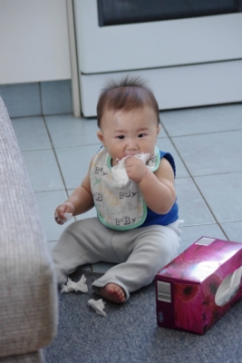 IMGP0645.jpg