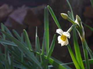 P1100804-2.jpg