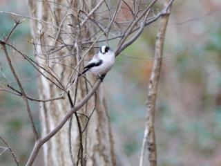 P1100865-2.jpg