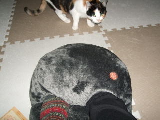 足のおうち