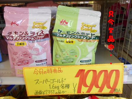 22 特売 猫スーパーゴールド欠品中