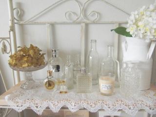 CIMG3008_20111023081441.jpg