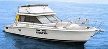 AUSTEN220