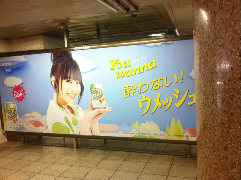 Choya You Wanna 酔わない ウメッシュ 北乃きい 電車 駅のポスター広告