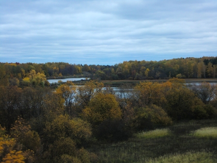 モスクワ郊外黄金の秋の紅葉風景
