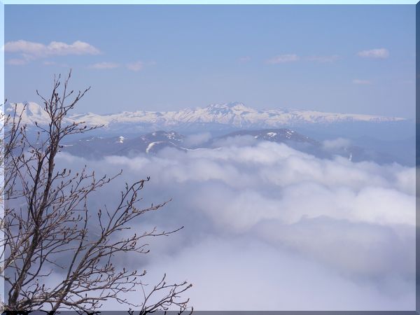 憧れのトムラウシ山です。