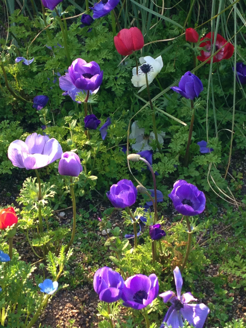 花
