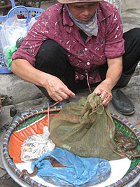 20110829asa7.jpg