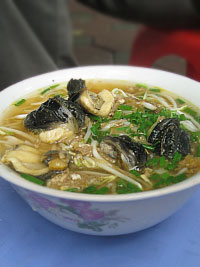 20110831bunoc3.jpg