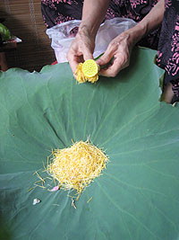20110893trasen4.jpg