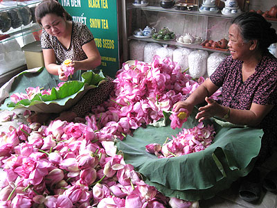 20110903trasen.jpg
