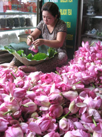 20110903trasen2.jpg
