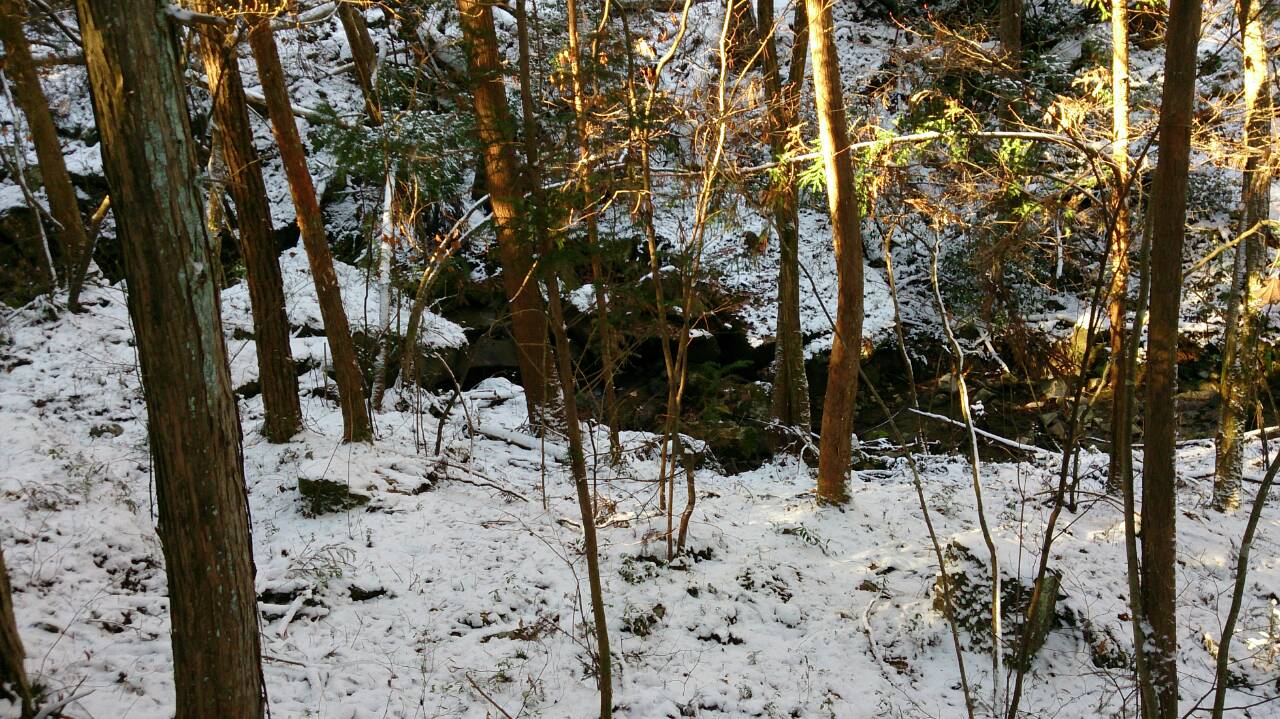 山の暮らし 山籠りクロスグレード