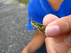 IMG_0287.jpg