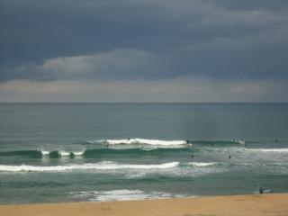 DSC03301.jpg