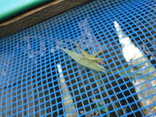 DSC03310.jpg