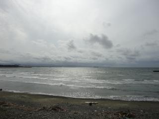 DSC03378.jpg