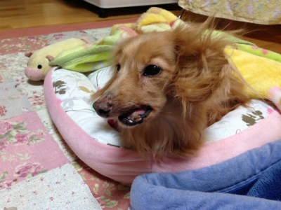 2014-02-14nana.jpg