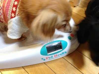 2014-2-4nana (1)