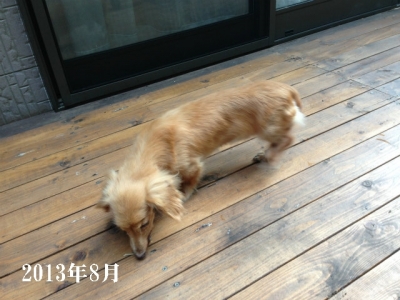 2014-2-18nana (1)